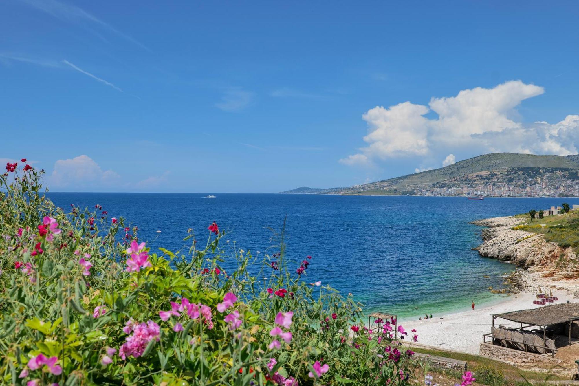 Armantis * Saranda