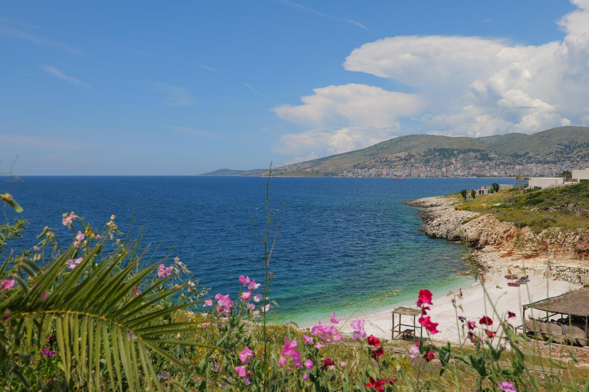 Armantis Saranda
