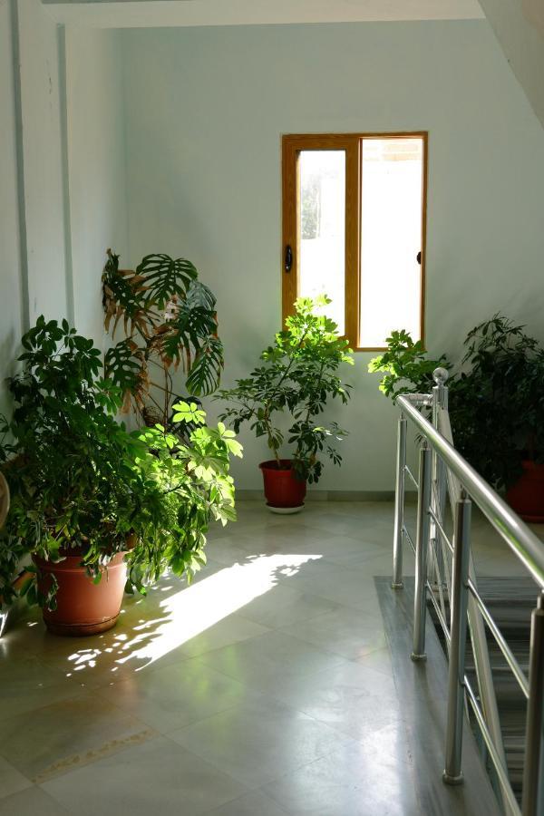 Apartament Armantis Saranda